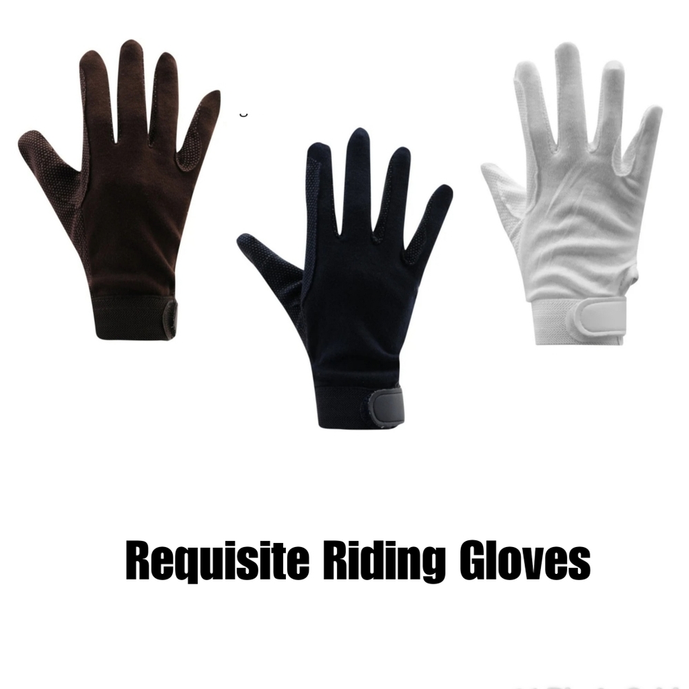 NWT Requisite Riding Gloves S, L